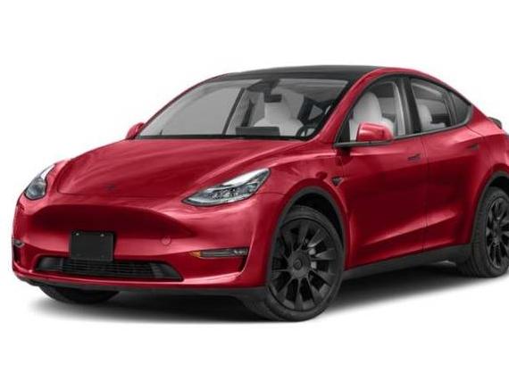 TESLA MODEL Y 2025 7SAYGDEE2SF287892 image
